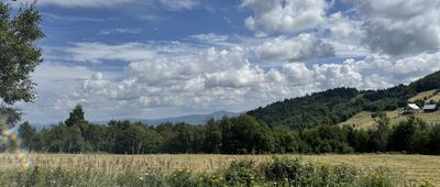 Przełęcz nad Porębą ↔ Pod Jagodną