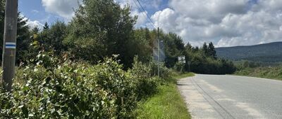 Przełęcz nad Porębą