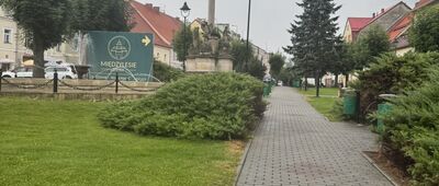 Międzylesie ↔ Międzylesie, ul. Sobieskiego