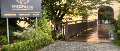 Międzylesie ↔ Międzylesie, ul. Sobieskiego