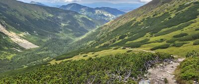 Starorobociańska Rówień ↔ Siwa Przełęcz [Starorobociańska Dolina z końcówki podejścia na Siwą Przełęcz]