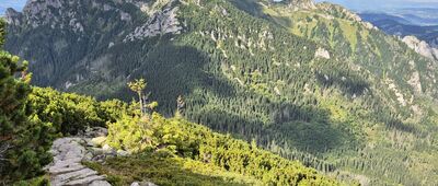 Iwaniacka Przełęcz ↔ Ornak [Kominiarski Wierch z zejścia z Ornaku na Iwaniacką Przełęcz]