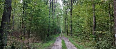 Stara Wólka ↔ Lendo Ruskie