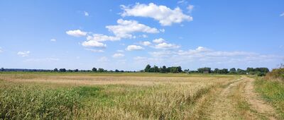Sarny ↔ Żabianka [płaskie dno Pradoliny Wieprza]