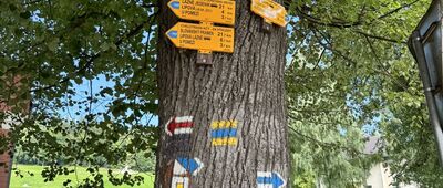 Lázně Jeseník, bus