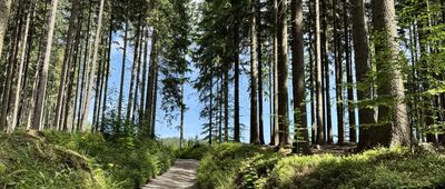 Jitřní pramen, rozc. ↔ U Mnicha