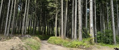 Jitřní pramen, rozc.