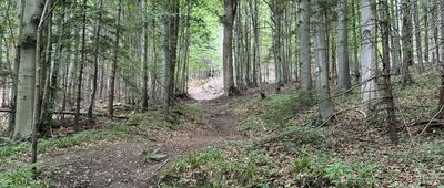 Priessnitzův pramen