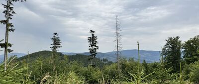 Ripperův kámen ↔ Nad Večerním pramenem