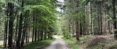 Ripperův kámen ↔ Nad Večerním pramenem