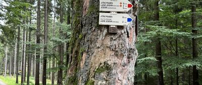 Nad Večerním pramenem