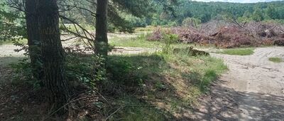 Skrzyżowanie szlaków ↔ Rozejście szlaków