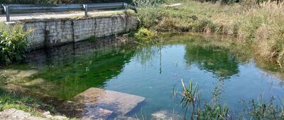 Rozejście szlaków ↔ Lgotka [Źródełko]