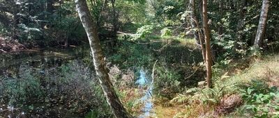 Lgotka ↔ Kroczyce, kościół