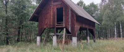 Rozejście szlaków niebieski / czarny ↔ Kotlarnia