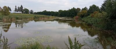 Jemielnica ↔ Dąbrówka, ul. Kościelna