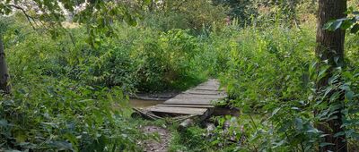 Zbrosławice, ul. Wolności ↔ Rozejście szlaków niebieski / żółty [Tak prowadzi szlak.]