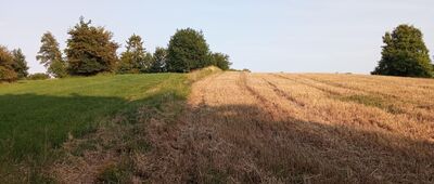 Repty, krzyż ↔ Repty Śląskie, park [Tak prowadzi szlak.]