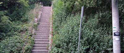 Radzionków, Rojca ↔ Radzionków, Śląski Ogród Botaniczny