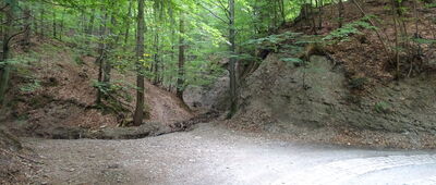 Rozejście szlaków ↔ Rozejście szlaków