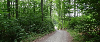 Wisła, Mała Zapora, parking ↔ Cieńków