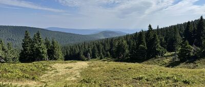 Ovčárna, chata ↔ Nad Ovčárnou