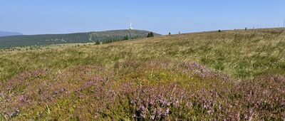 Vysoká hole ↔ Nad Ovčárnou