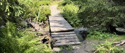 Ovčárna, chata bus ↔ Pod Ovčárnou