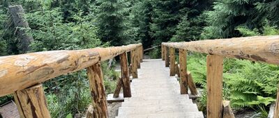 Nad vodopády Bílé Opavy