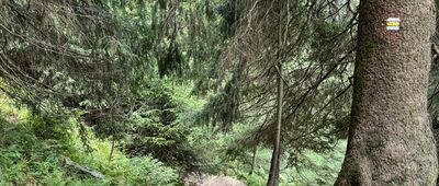 Nad vodopády Bílé Opavy