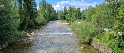 Witów, Kojsówka [Czarny Dunajec w Witowie-Kojsówka]