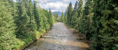 Witów, Kojsówka [Witów-Kojsówka: Czarny Dunajec]