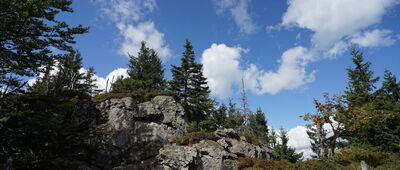 Rozdroże pod Zwaliskiem ↔ Wysoki Kamień