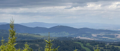 Táborské skály ↔ Olověná štola, rozc. [Widok ze szlaku grzbietem Příčnego vrchu]