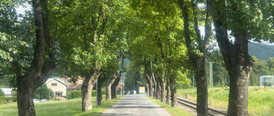 Zlaté Hory, železniční stanice ↔ Zlaté Hory, Nádražní [Aleja przy stacji kolejowej]