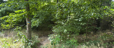 Rozejście szlaków [Zejście z asfaltowej drogi na niebieski szlak]