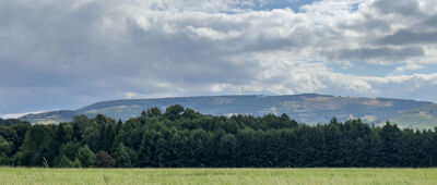 Jarnołtówek, granica CZ/PL ↔ Rozejście szlaków [Widok na Příčný vrch]