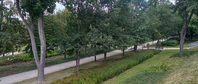 Przedbórz [Park Miejski w Przedborzu]