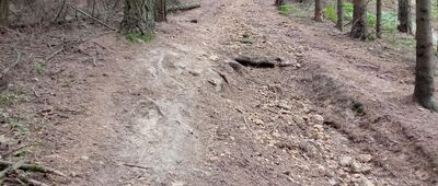 Góry Mokre ↔ Fajna Ryba, skrzyżowanie szlaków [Jedyne trudniejsze podejście/zejście na zielonym szlaku]