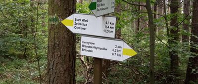 Fajna Ryba, skrzyżowanie szlaków