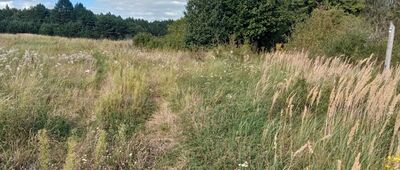 Droga do Dobromierza [Tak prowadzi szlak]