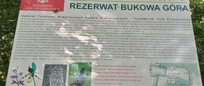 Pod Bukową Górą