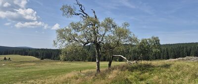 Przy Chatce Górzystów