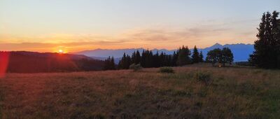 Sedlo pod Doštiankou ↔ Panská hoľa