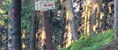 Úbočí Kozích hřbetú