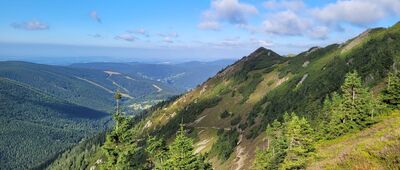 Úbočí Kozích hřbetú ↔ Krakonoš, odb. vyhl.