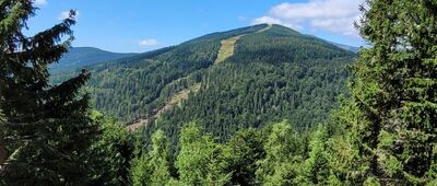 Bouda u Bílého Labe ↔ Dřevařská cesta