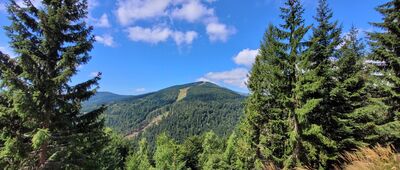 Bouda u Bílého Labe ↔ Dřevařská cesta