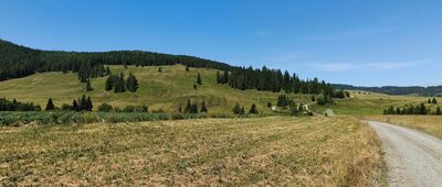 Výpad ↔ Sedlo Záturňa