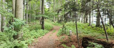 Pod Kostrzą ↔ Kostrza